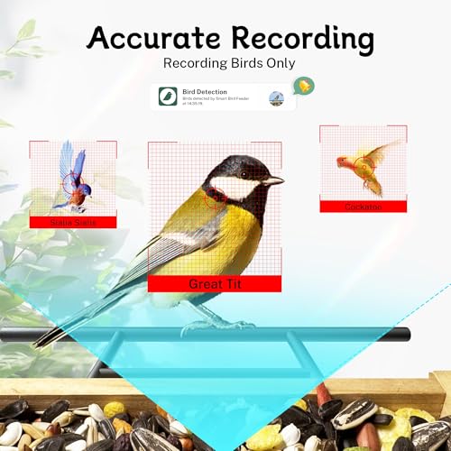 1.5L TT Nature Smart Bird Feeder w/ 1080P AI Camera & Night Vision (Iron Roof) - image 6