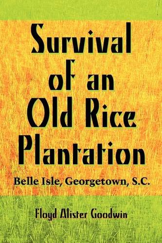 Survival of an Old Rice Plantation: Belle Isle, Georgetown, S.c ...