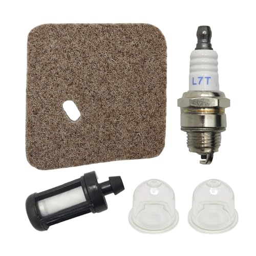 Ampoule d'amorçage et bougies d'allumage pour moteur FS45 - 2