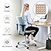 2-Pack Inflatable Seat Cushions, Pressure Relief Waffle Cushion, Ideal for Long Sitting, Office Chairs, Car Seats, Wheelchair Cushions, Comes with 2 Air Pumps, Portable and Comfortable