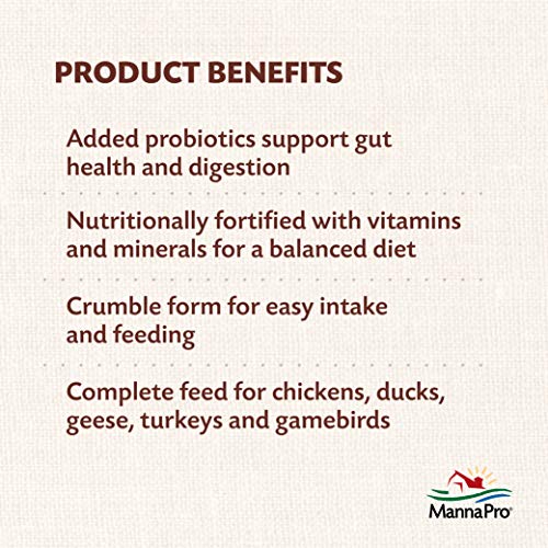 Manna Pro All Flock with Probiotics Crumble | Formulated with Vitamins and Minerals to Support a Balanced Diet | 8 Pounds - Thumbnail 3