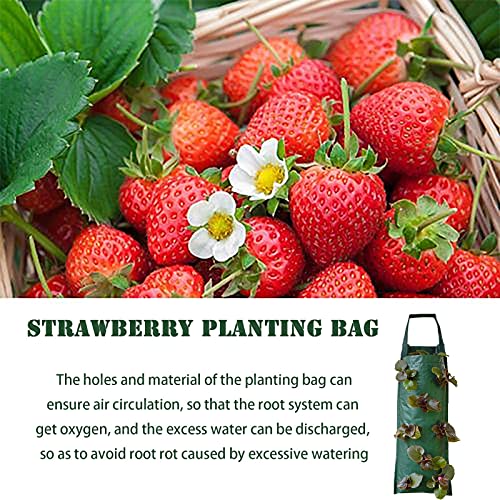 Vertical Garden Planter,Hanging Planter Bags Waterproof Wall-Mounted Felt Planting Grow Bags Outdoor Indoor Gardening Flower Container Plant Grow Bag For Flower Vegetable #TOP5
