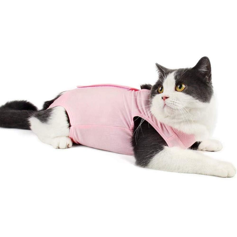 Kodervo Cat Recovery Suit for Abdominal Wounds or Skin Diseases, Breathable Cat Surgery Recovery Suit E-Collar Alternative for Cats, After Surgery
