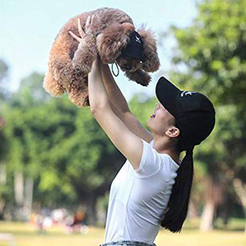 Ayunjia Dog Hat,Pet Baseball Cap Sport Hat Dog Mom/Dad Family Matching Baseball Cap Fashion Adjustable Outdoor Pet Parent-Child Hat Black 2 Color (Xl) #TOP7