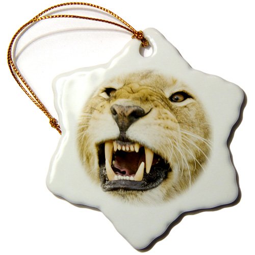 3dRose orn_73093_1 Africa, Kenya, Masai Mara, Male Lion Bearing Teeth -Af21 Dsr0007-Daniel Schreiber-Snowflake Ornament, 3-Inch, Porcelain