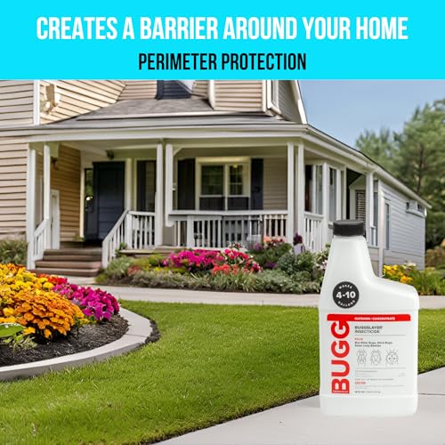 image for BUGGSLAYER Insecticide - Concentrate - Outdoor Box Elder Bugs, Stink B