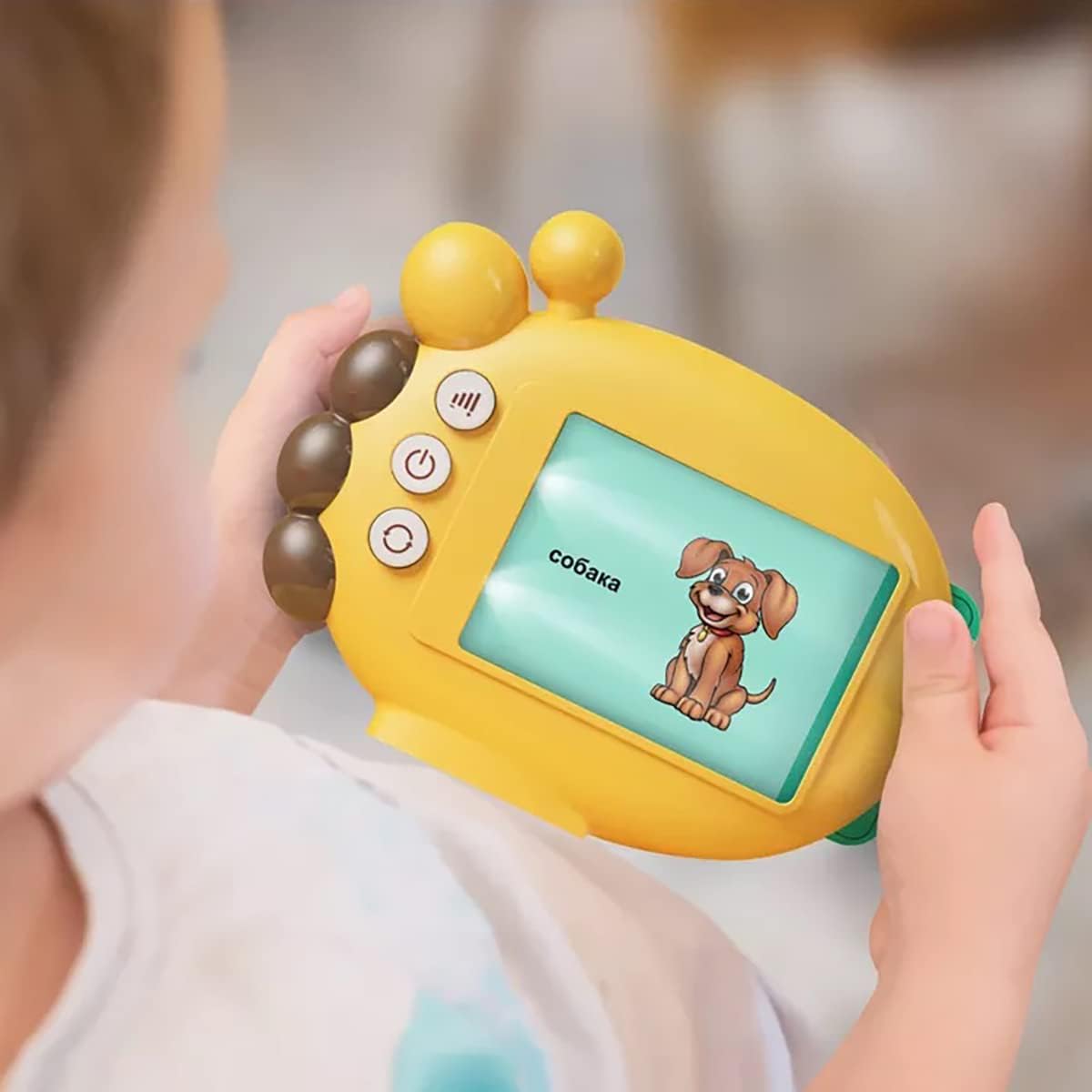 Russian Flash Cards 60 PCS,Russian Alphabet Toys for Kids Learn Russian Language Vocabulary Words and Pronounce,Basic Russian Books for Beginners,Gifts for Kids