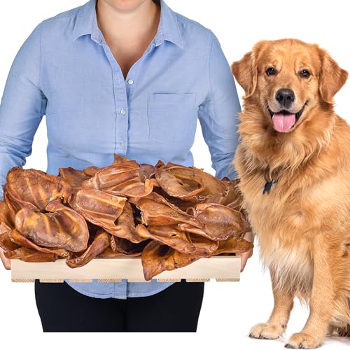 Schweineohren (50 Stück) | Leckerlis für Hunde | Hundeknochen für große Hunde