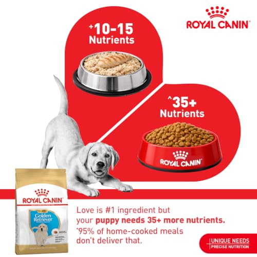 Image of Royal Canin Golden Retriever Puppy Food, Dry Food, Supports Immune System & Digestive Health, Promotes Healthy Skin & Coat, 1 Kg