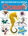 Sticker Encyclopedia: Ocean (DK Sticker Encyclopedias)