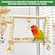 Jortmrd 8-Teiliges Vogelspielzeug, Sittichspielzeug, Papageienschaukel, Vögel Holzleiter Spielzeug, Vogelkäfig-Zubehör aus Holz, Vogelschaukel Glocken Kauspielzeug für Sittiche, Kleine Haustiere