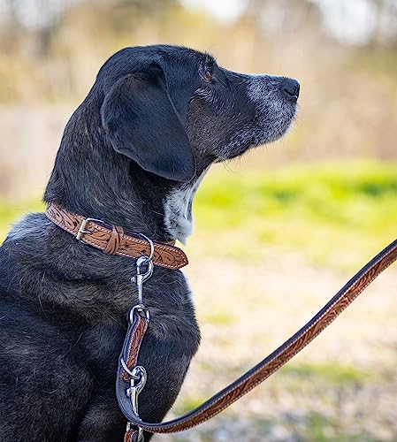 Unikat Hundeleine aus Leder mit Hand-geschnitzten Stanzmustern/Ornamenten - mehrfach verstellbare Führleine 2,00m - doppellagige Echt-Leder-Hunde-Leine aus Büffelleder – Sienna (Braun)
