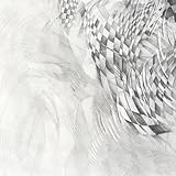  clock pulse rail train