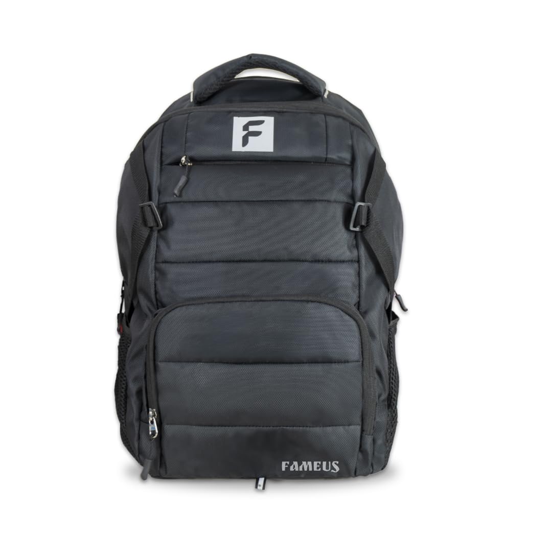 FAMEUS Everyday Unisex 35Ltr Laptop Backpack/Water-Resistant/Light-Weight/Spacious (Casual/Office/Business/Travel/Gifting) (B0CP493LPF) Amazon Price History, Amazon Price Tracker