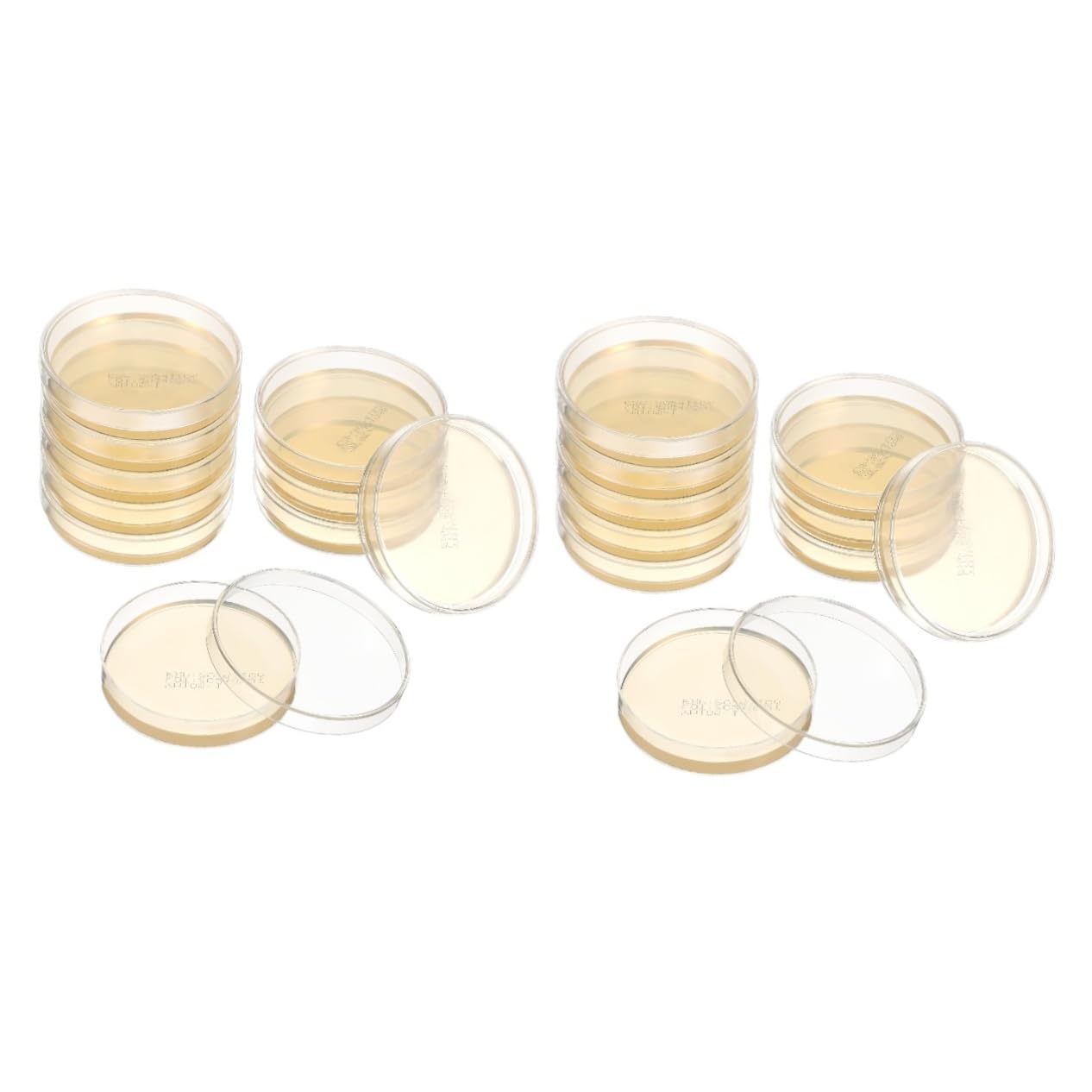 Anneome 20piezas Placas De Agar Prevertidas Para Experimentos Científicos Placas Petri Con Agar Para Cultivo Microbiano Y Proyectos De Feria De Ciencias