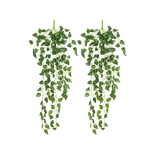 Yatim 90 cm Money Ivy Vine Artificial Plants Greeny Chain Wall Hanging Leaves for Home Room Garden Wedding Garland Outside Decoration Pack of 2