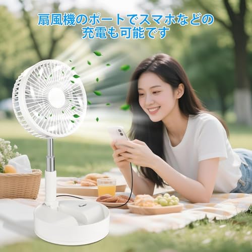 WvaZephyrian 扇風機 P11 の商品画像 4