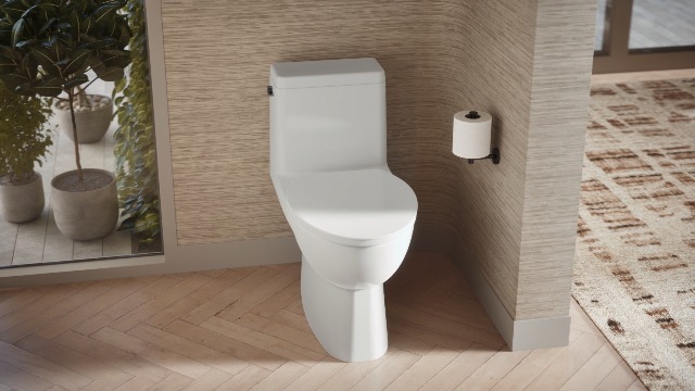 KOHLER 78080-0 Reach Comfort Height Chair Height One-Piece Compact