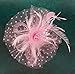 Cizoe Fascinators Hat for Women Tea Party Headband Kentucky Derby Wedding Flower Cocktail Mesh Feathers Hair Clip(1-Pink)