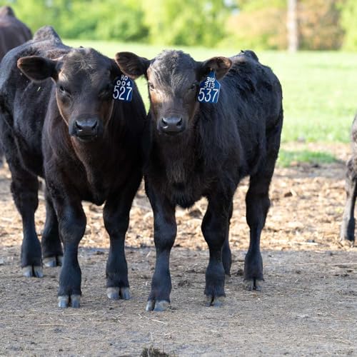 The Research Update: Ingrid L. B. Fernandes and Dr. Tara Felix