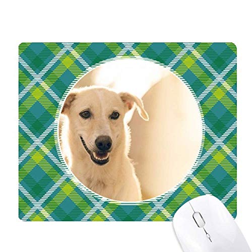 X}CzCgybg̎ʐ^ ΂̊iq̃sNZS̃}EXpbh