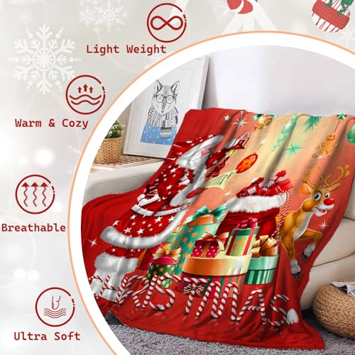 Photo complémentaire