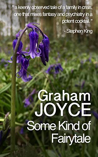 Some Kind of Fairy Tale: A Tale of Enchantment (English Edition)