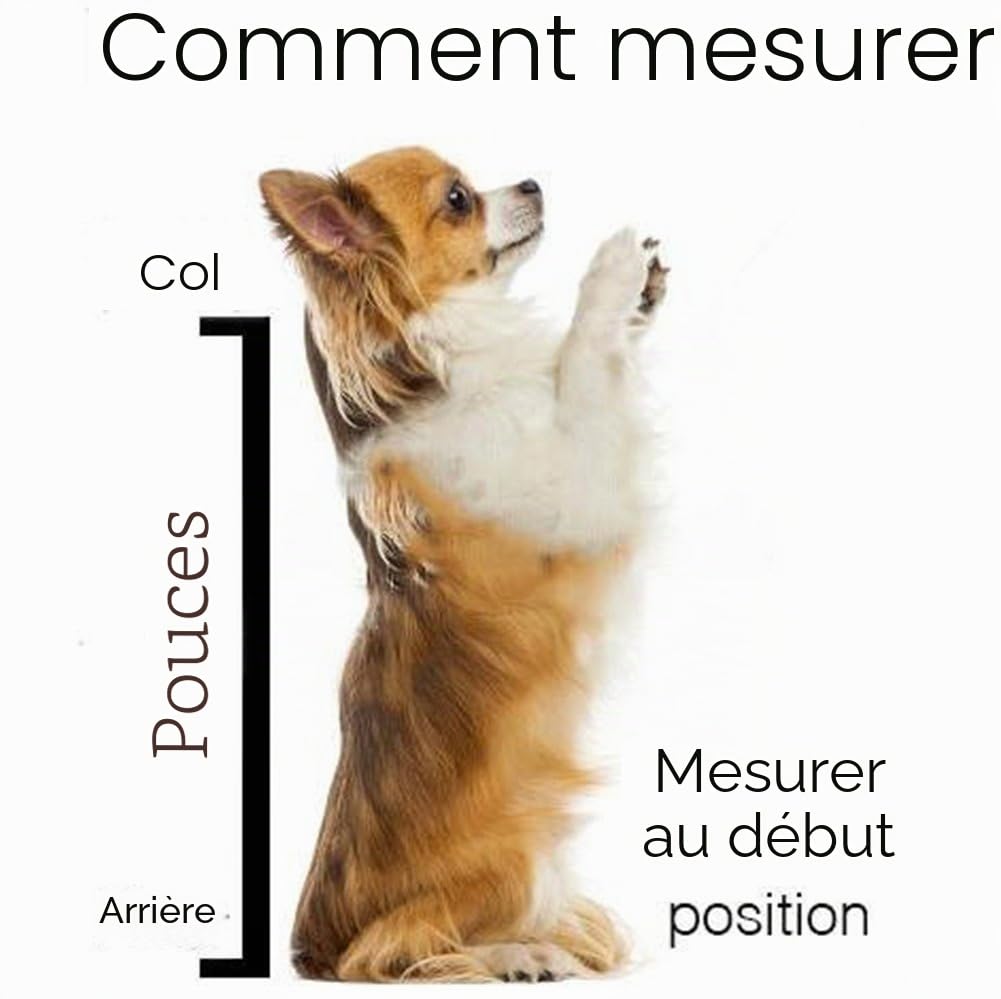 Sac à Dos pour Chien Sac de Transport de Petite et Moyenne Taille, approuvé par Les vétérinaires pour Les Voyages – Facile à Transporter et économie de l'espace