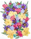 CHANGAR Getrocknete Blumenblätter für Nagelkunsthandwerk, echte getrocknete gepresste...