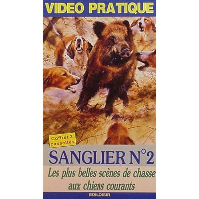 Sangliers