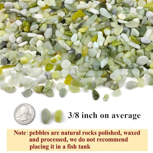 image for FANTIAN 5 lbs Jade Gravel Small Pebbles for Indoor Plants, Decorative 