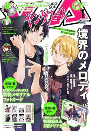 月刊少年エースA 2010年 まとめ売り 月刊少年エースA 2010年 まとめ売り