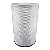 Baldwin Filters PA3916 Air Filter (12-3/32 x 19-1/2 in.)