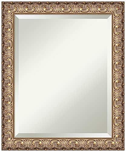 Amanti Art Beveled Wood Wall Mirror (23.5 X 19.5 In.), Florentine Gold Frame - Bathroom Mirror Gold, Small #TOP13