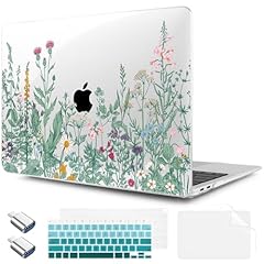 Botanical Illustration