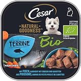 Cesar Natural Goodness Premium Bio Hunde Nassfutter in der Schale Terrine mit Fisch 16x100g