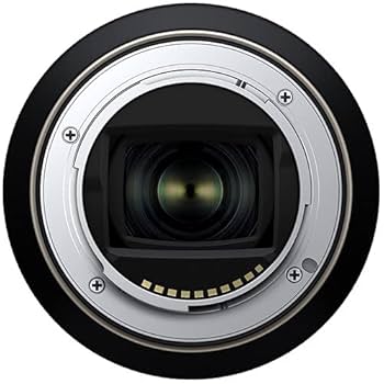 Amazon.com : Tamron 28-200mm f/2.8-5.6 Di III RXD Lens for