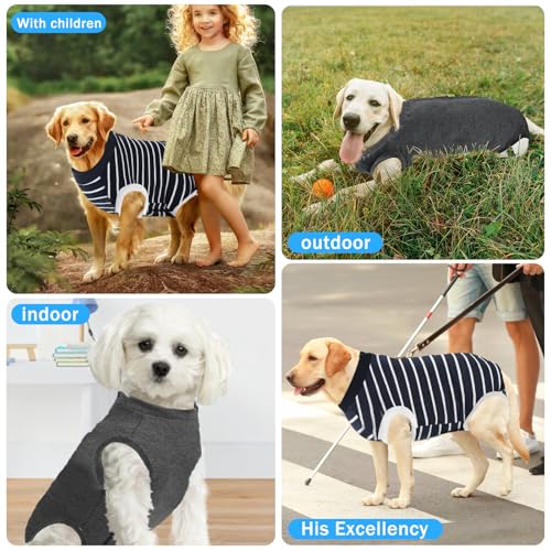 Image of Recovery Suits for Dogs Cats, Dog Surgery Suits Female and Male spay, Breathbale Dog After Surgery Suits, Dog Onesie for Surgery Female Male, Anti Licking Dog Surgical Suits (Blue White Strip, S)