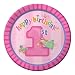 Creative Converting Fun at One Happy First Birthday Girl Round Dinner Plates, Girl, 8 Count
