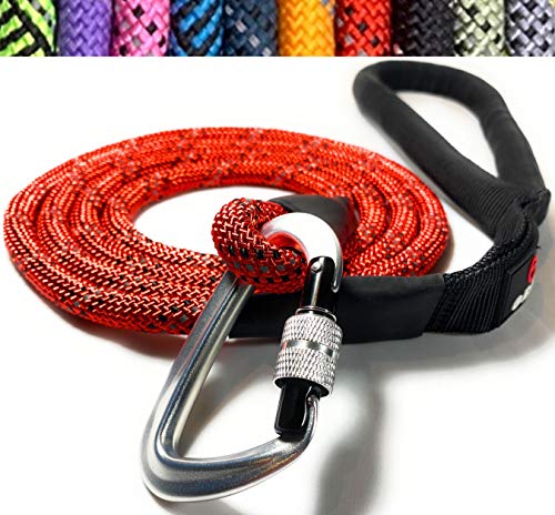 Enthusiast Gear Rope Dog Leash with Locking Carabiner for Large and Medium Breeds | Sturdy and Durable with Reflective Braiding and Comfortable Padded Grip (6  Foot) - Red