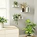 SRIWATANA Floating Shelves Wall Mounted, Solid Wood Wall Shelves, White