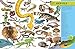 DK Children DK Eyewitness Encyclopedia of Animals (DK Eyewitness).