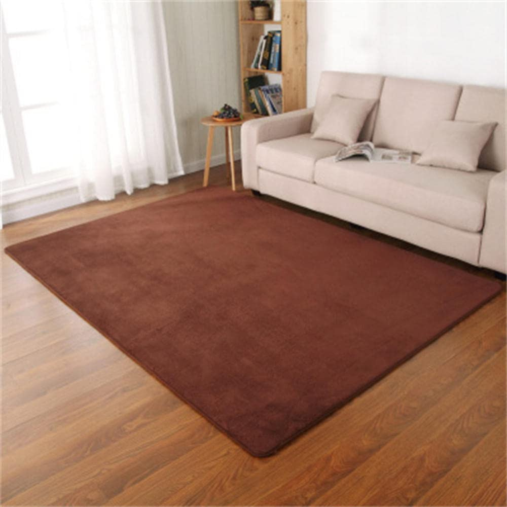 Tapis de velours corail épais LUNEZY au design moderne et finitions soignées