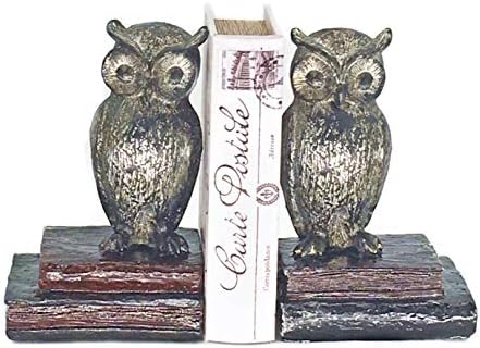 Bellaa 21725 Decorative Bookends Owl Wide Eyed Rustic Retro Shabby Chic Unique Book Ends Birds Boho Farmhouse Home Decoration Office Library Shelves Stoppers Holder Nonskid Scholastic Kids Vintage