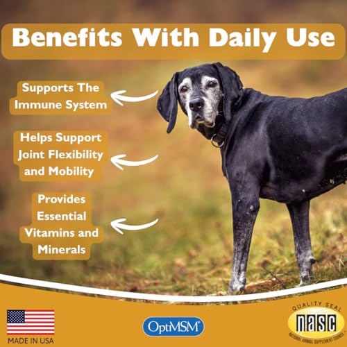 Image of Senior Multivitamin for Dogs - 350 Chewable Tablets with MSM, Superoxide Dismutase