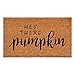 Calloway Mills Hey There Pumpkin Doormat (Tan/Black, 17