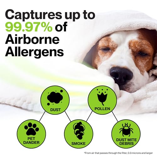 Image of AP-1512HH HEPA Set Compatible with Coway Filter - 2 Year Supply - Compatible with Coway Airmega AP-1512HH & Airmega Filter Replacement - Helps Remove Smoke, Dust, Pollen, Dust, Debris, Pet Dander