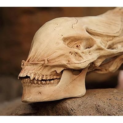 Gmasking Resin Alien Head Skull Bust Statue Full Size Replica Props