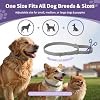 Collar antipulgas y garrapatas para perros, 4 paquetes de collar antipulgas para perros con 32 meses de protección, collar antipulgas y garrapatas impermeable y ajustable para perros pequeños, medianos y grandes y cachorros, gris 3