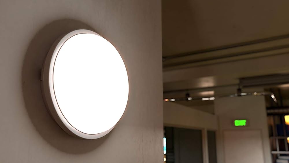 IP65 LED Outdoor Wall Lamps LED Bulkhead Lights Oval 12W 18W 24W Waterproof Ceiling Lights 3 CCT With Sensor And Emergency Kitting